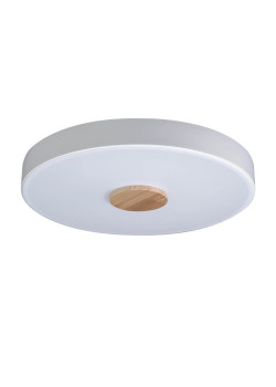 Потолочный светодиодный светильник Loft IT Axel 10003/24 white