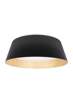 Потолочный светодиодный светильник Loft IT Evans 10224 Black