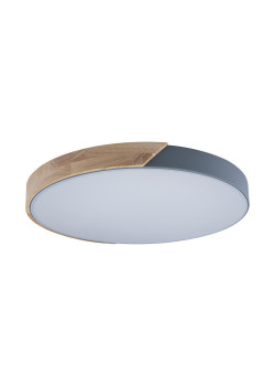 Потолочный светодиодный светильник Loft IT Axel 10004/36 grey