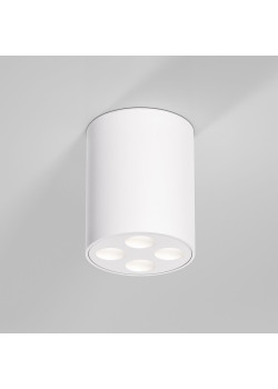 Потолочный светильник Elektrostandard 25111/LED a067483