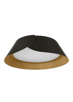 Потолочный светильник LOFT IT Lane 10370 Black