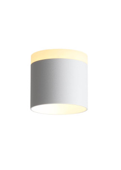 Потолочный светодиодный светильник ST Luce Panaggio ST102.502.09