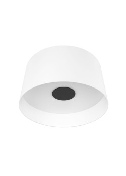 Потолочный светодиодный светильник Loft IT Duo 10360L White