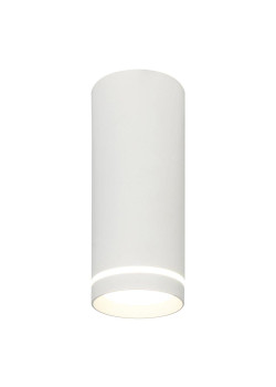 Потолочный светодиодный светильник Escada 20009SMU/02LED SWH
