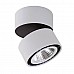 Потолочный светодиодный светильник Lightstar Forte Muro 213830