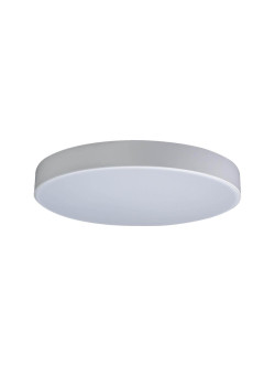 Потолочный светодиодный светильник Loft IT Axel 10002/24 white
