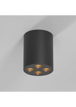 Потолочный светильник Elektrostandard 25111/LED a067484