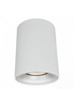 Потолочный светильник Arte Lamp Torre A1532PL-1WH