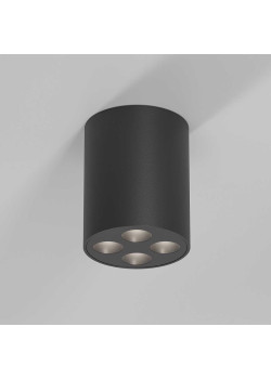 Потолочный светильник Elektrostandard 25111/LED a067485