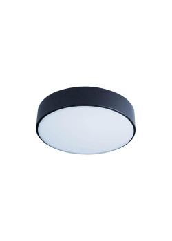 Потолочный светодиодный светильник Loft IT Axel 10002/12 black