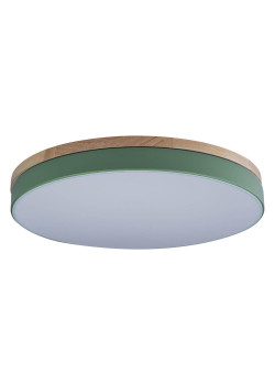 Потолочный светодиодный светильник Loft IT Axel 10001/36 green