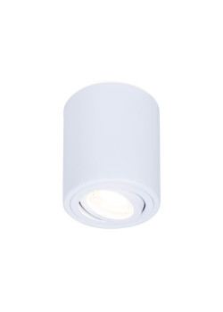 Потолочный светильник Ambrella light Techno Spot TN225