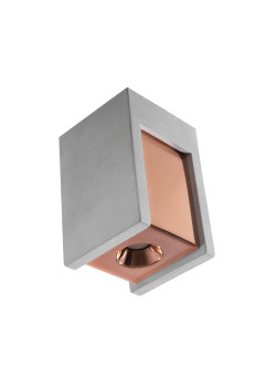 Потолочный светодиодный светильник Loft IT Architect OL1073-GG