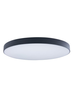 Потолочный светодиодный светильник Loft IT Axel 10002/48 black