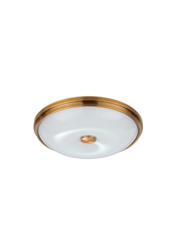 Потолочный светильник Odeon Light Walli Pelow 4956/4
