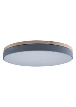 Потолочный светодиодный светильник Loft IT Axel 10001/36 grey