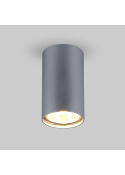 Потолочный светильник Elektrostandard 1081 5257 GU10 SL серебро a037714