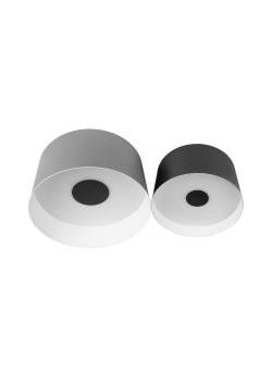 Потолочный светодиодный светильник Loft IT Duo 10360/2