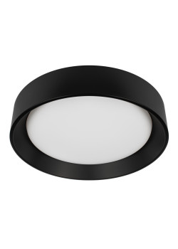 Потолочный светильник Loft it Coin 10202 BB
