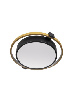 Потолочный светодиодный светильник Loft IT Mike 10169