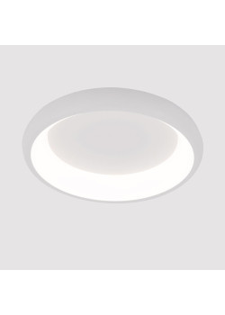 Потолочный светодиодный светильник Arte Lamp Menkib A2694PL-45WH