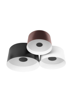 Потолочный светодиодный светильник Loft IT Duo 10360/3