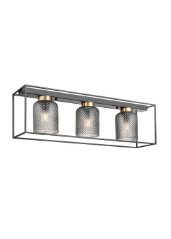 Потолочный светильник Vele Luce Morrison VL5472L03