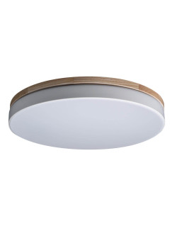 Потолочный светодиодный светильник Loft IT Axel 10001/36 white