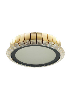 Потолочный светодиодный светильник Odeon Light Asturo 4994/75L