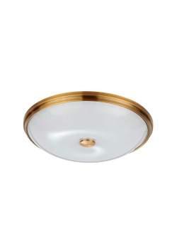 Потолочный светильник Odeon Light Walli Pelow 4956/5