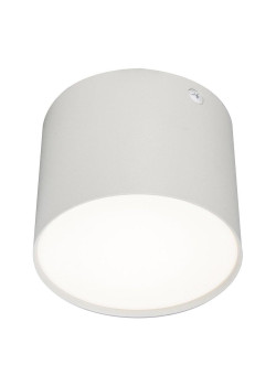 Потолочный светодиодный светильник Escada 20004SMU/01LED SWH