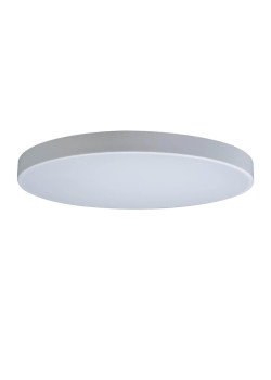 Потолочный светодиодный светильник Loft IT Axel 10002/48 white