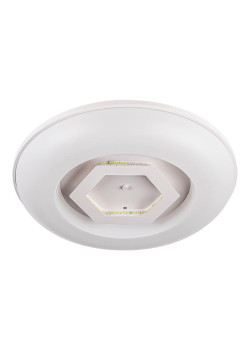 Потолочный светодиодный светильник Escada 10254/S LED