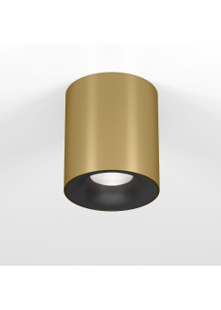 Потолочный светодиодный светильник Elektrostandard Primo 25116/LED a069414