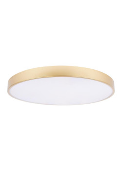 Потолочный светодиодный светильник Loft IT Flims 10228/B