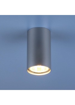 Потолочный светильник Elektrostandard 1081 5257 GU10 SL серебро a037714