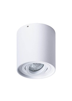 Потолочный светильник Arte Lamp Falcon A5645PL-1WH