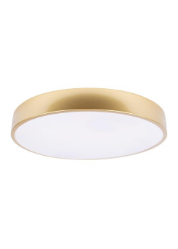 Потолочный светодиодный светильник Loft IT Flims 10228/A