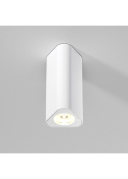Потолочный светильник Elektrostandard 25110/LED a067063