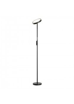 Торшер Lussole Carmel LSP-0901-SE