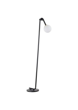 Торшер Lumion DEXTER 6500/1F
