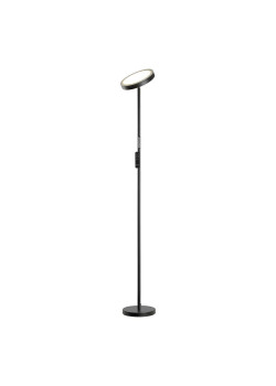 Торшер Lussole Carmel LSP-0901-SE