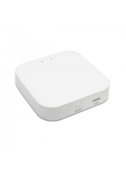 WI-FI конвертер ST Luce Skyline 220 ST015.500.97