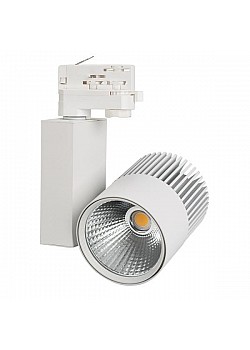 Трековый светодиодный светильник Arlight LGD-Ares-4TR-R100-40W Day4000 036100