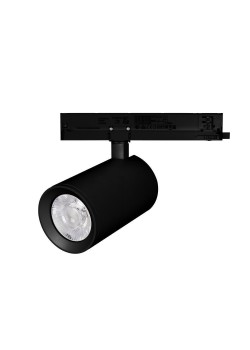 Трековый светодиодный светильник Arlight LGD-Nika-4TR-R100-40W Day4000 031178