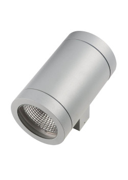 Уличный настенный светильник Lightstar Paro 351619