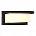 Уличный настенный светодиодный светильник ST Luce Combo SL9532.401.01