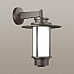 Уличный настенный светильник Odeon Light Nature Mito 4047/1W