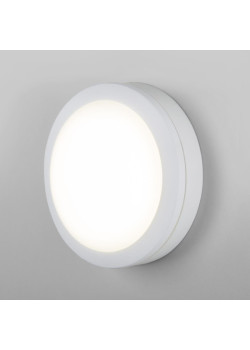 Уличный настенный светодиодный светильник Elektrostandard LTB51 Led белый a048704