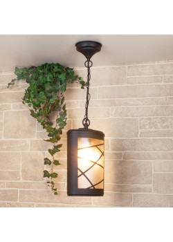 Уличный подвесной cветильник Elektrostandard Premier H GL 1017H a039857